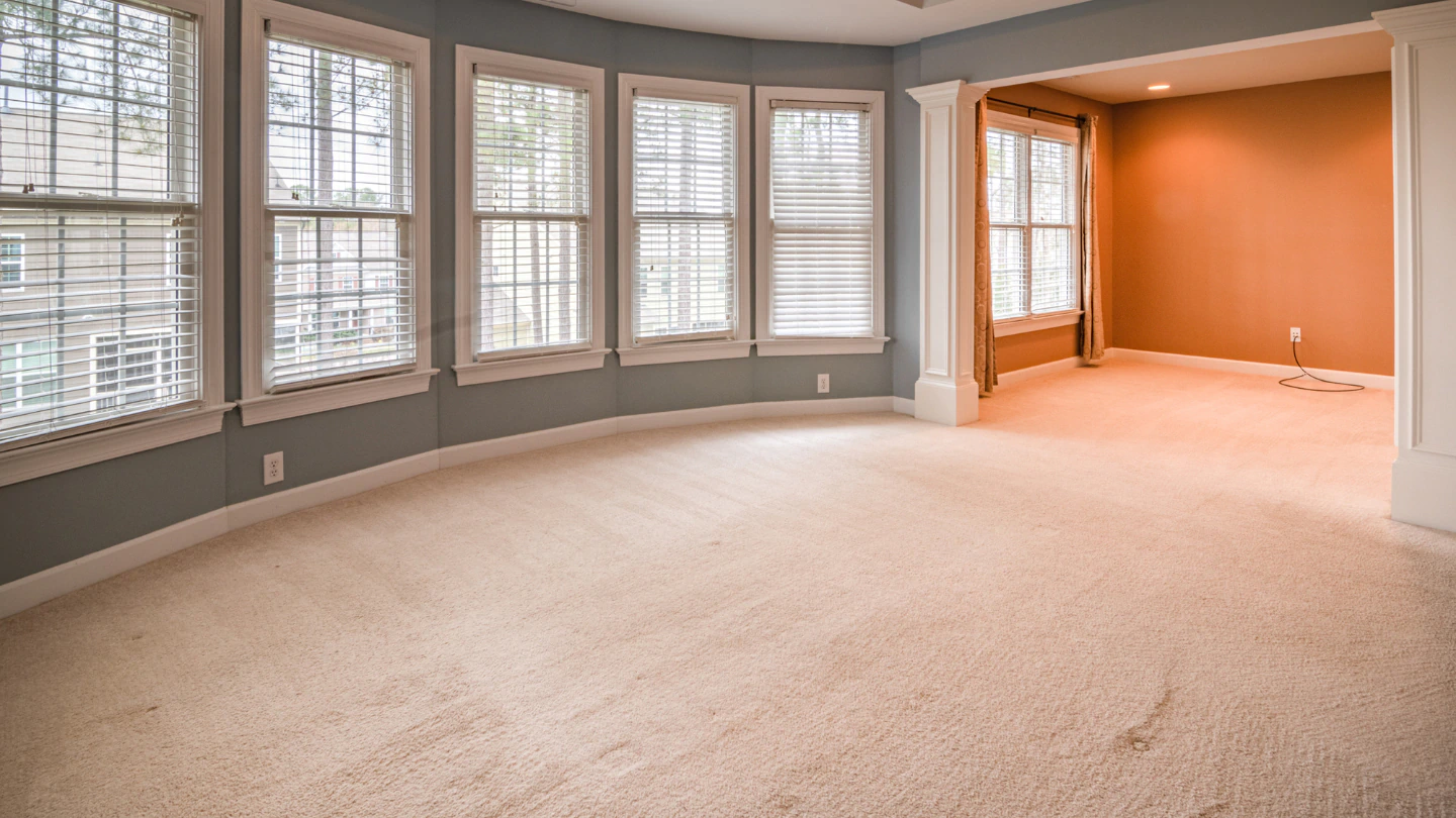 living room with carpeted floor